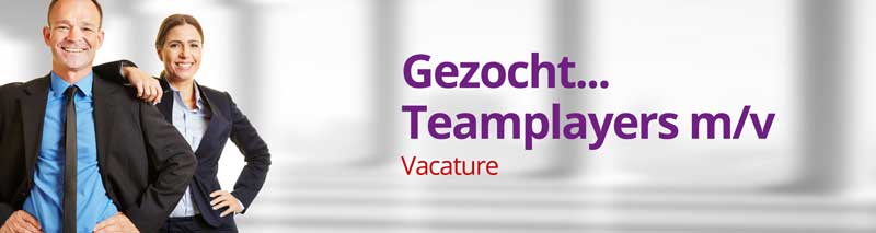 Vacature Van der Lans | Accountants en Adviseurs